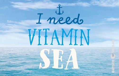 Magnet Vitamin Sea